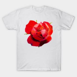 Rose 2 T-Shirt